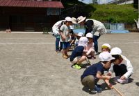 運動会ごっこで綱引きをしました。頑張るぞー