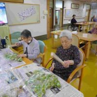 「今年の梅ジュースはおいしくなるかな？」